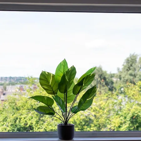 Semesterbostad Host & - Argie House Leeds (West Yorkshire)